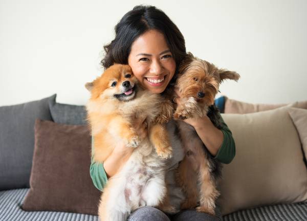tutora sorrindo segura 2 cachorros (1 lulu da pomerode e 1 yorkshire) sentada no sofá listrado com várias almofadas de cores cinza, marrom e creme. cachorro-apartamento