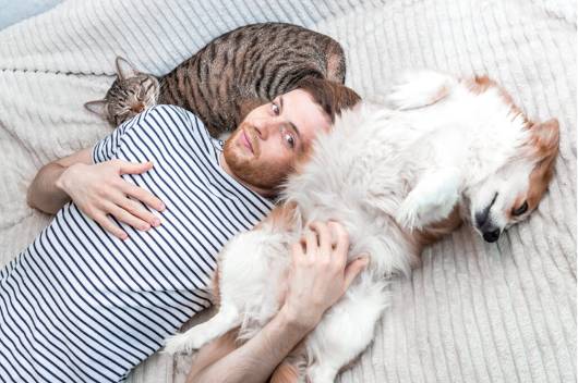 homem de cor clara com camisa listrada deitado na cama com um cachorro branco e um gato cinza.