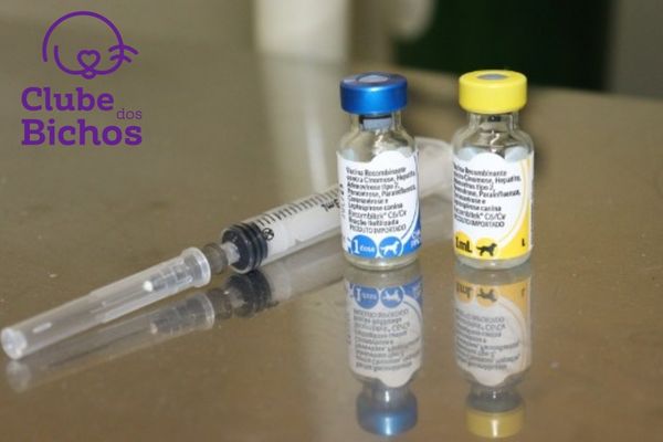 dois frascos de vacina e uma seringa apoiados em uma mesa de inox. Os frascos são da cor azul e amarela, indicando que uma vacina é importada e a outra nacional.