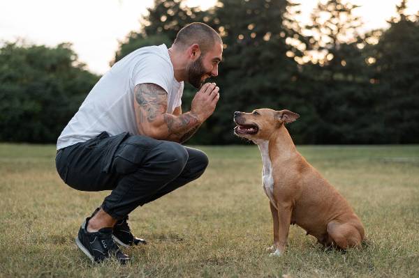 homem agachado em frente ao seu cachorro enquanto tenta ensinar adestramento canino. Os dois estão em um gramado aberto